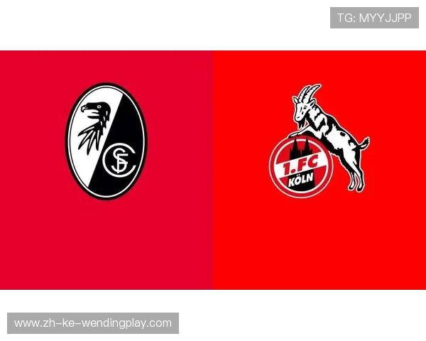 德甲联赛所有球队的队标图片合集